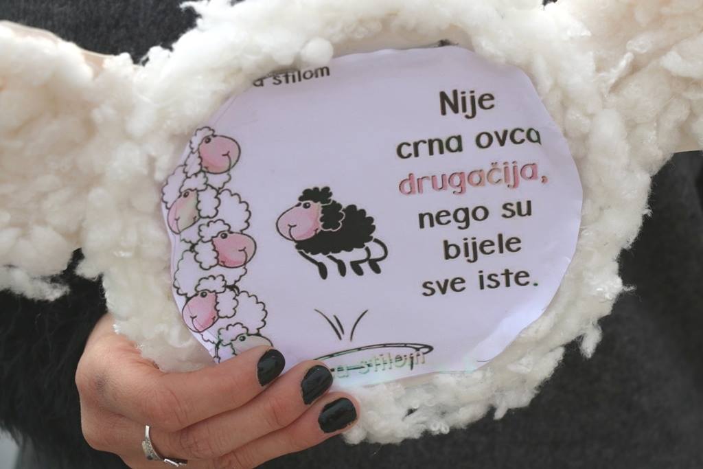 Virski Karnevalić 2017.