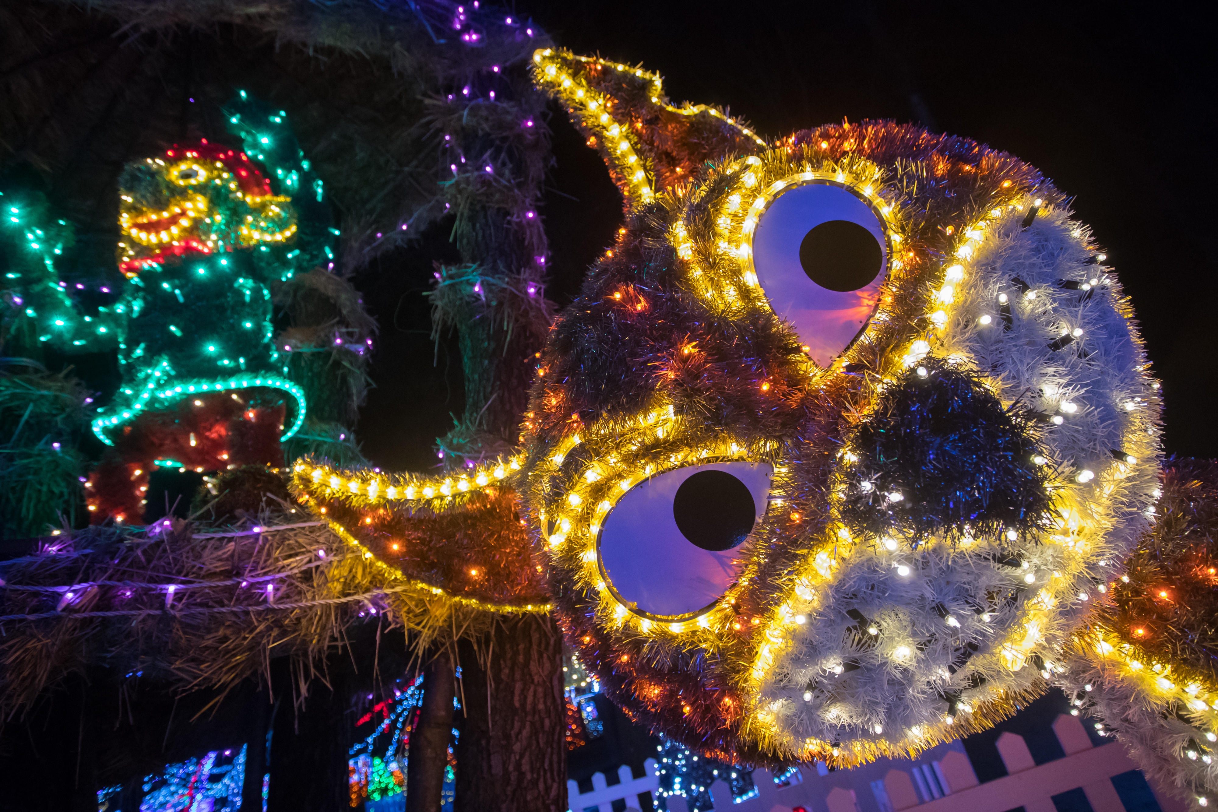 Još raskošnije izdanje: pogledajte kako izgleda Božićna priča obitelji Salaj gdje je ove godine zasjalo rekordnih 2.5 milijuna lampica