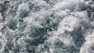 Đir s roniocima po Zadarskom arhipelagu, Foto: Roberto Lerga Đir s roniocima po Zadarskom arhipelagu, Foto: Roberto Lerga