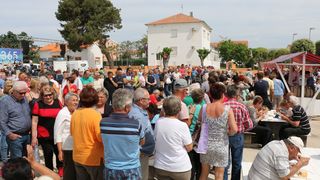 Velika prvosvibanjska fešta na Viru Velika prvosvibanjska fešta na Viru