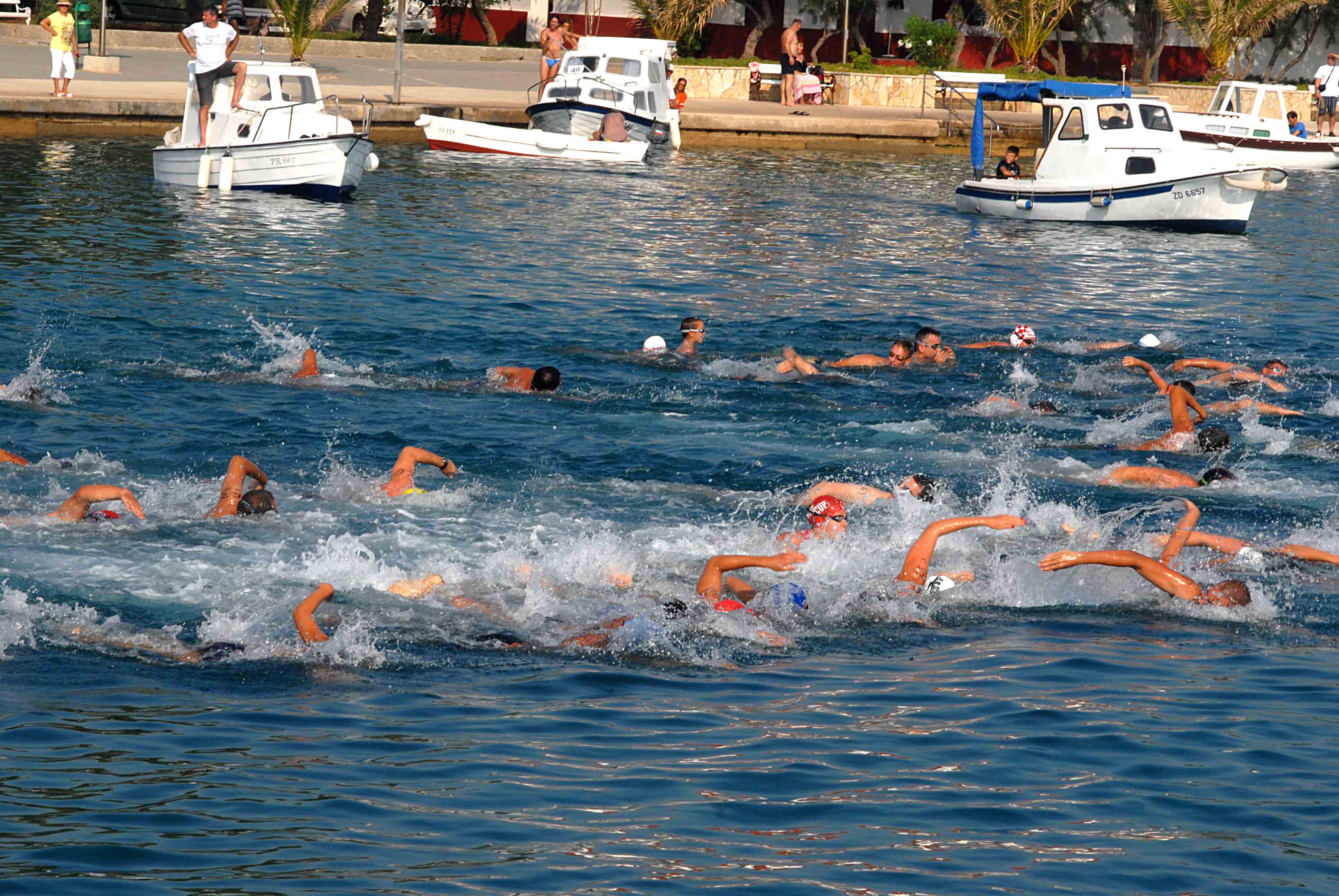 Održan 43. Plivački maraton Preko-Zadar Održan 43. Plivački maraton Preko-Zadar