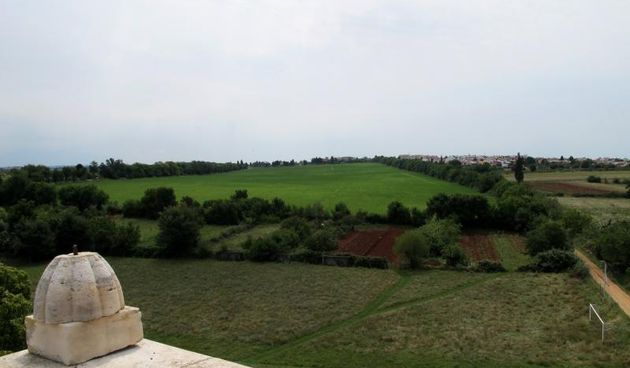 Zemljiste u vlasnistvu fratara uz samostan Dajla. Photo: Goran Kovacic/PIXSELL