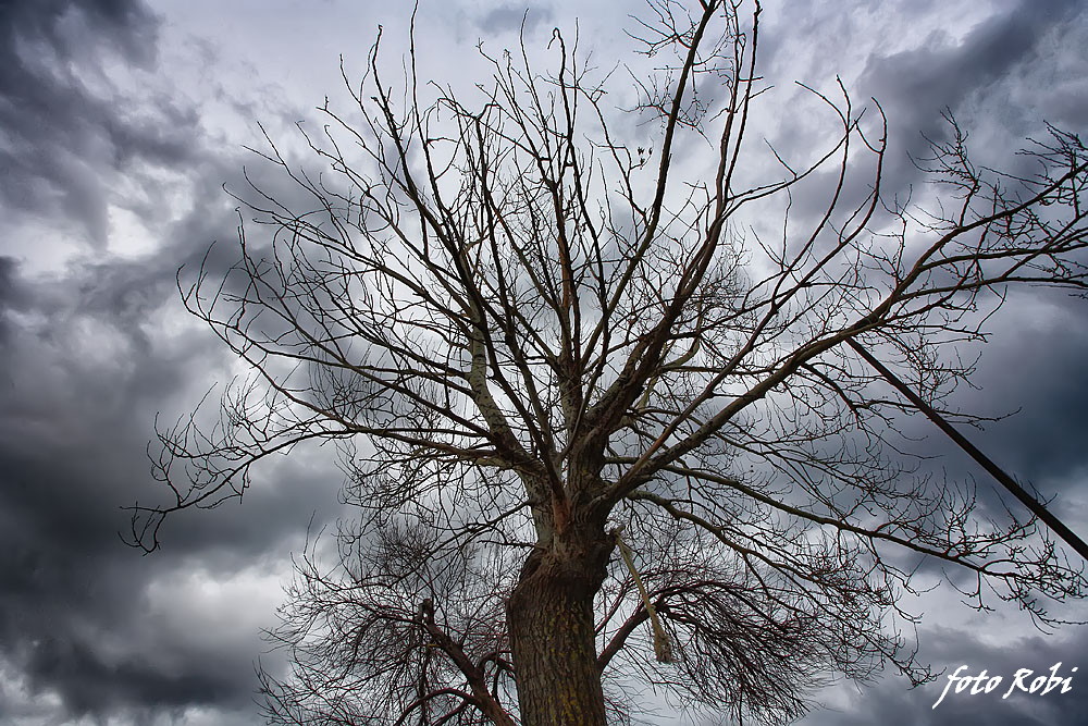 Jugo na Punti Bajlo 17. siječnja 2014.  Foto: Roberto Lerga