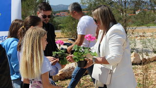 Kišni vrt u Biogradu Kišni vrt u Biogradu