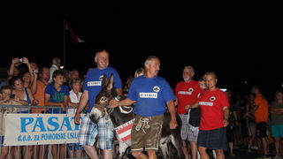 Tisno: Međunarodna trka tovarov 2013, Foto: Edin Kadić Tisno: Međunarodna trka tovarov 2013, Foto: Edin Kadić