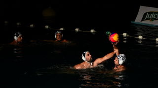 VAK”AN”ZA 31%, finale: Reptili – Nesvrstani 2-4 VAK”AN”ZA 31%, finale: Reptili – Nesvrstani 2-4