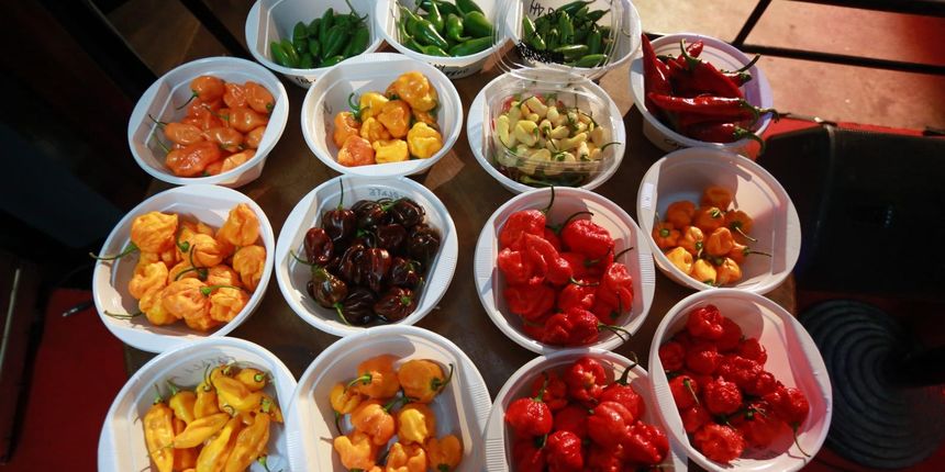 Čili maraton u Splitu – pravilo jednostavno: jedete paprike sve dok vam ne bude loše Čili maraton u Splitu – pravilo jednostavno: jedete paprike sve dok vam ne bude loše