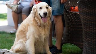 KvartArt 2018: Nedjeljno jutro proteklo u znaku plesa i glazbe KvartArt 2018: Nedjeljno jutro proteklo u znaku plesa i glazbe