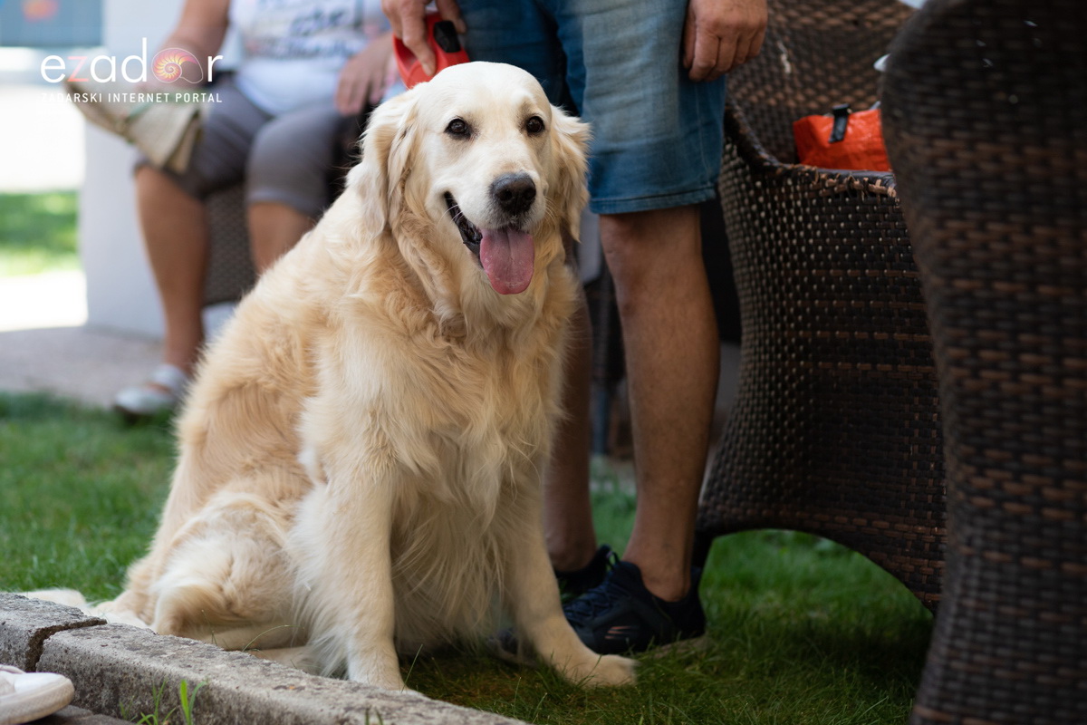 KvartArt 2018: Nedjeljno jutro proteklo u znaku plesa i glazbe KvartArt 2018: Nedjeljno jutro proteklo u znaku plesa i glazbe