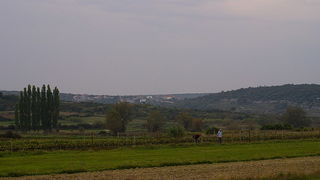 Krajolici zadarskog zaledja