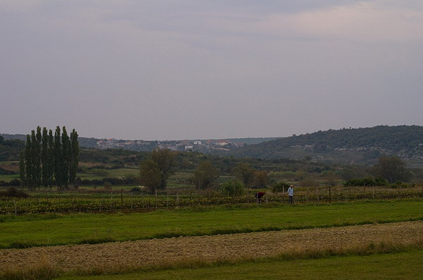 Krajolici zadarskog zaledja