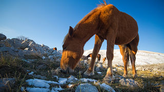 Đir do Libinja 9. travnja 2012. (foto:Saša Čuka) Đir do Libinja 9. travnja 2012. (foto:Saša Čuka)