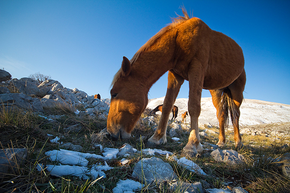 Đir do Libinja 9. travnja 2012. (foto:Saša Čuka) Đir do Libinja 9. travnja 2012. (foto:Saša Čuka)