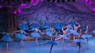 Baletna predstava “Don Quixote”, foto: Leo Banić