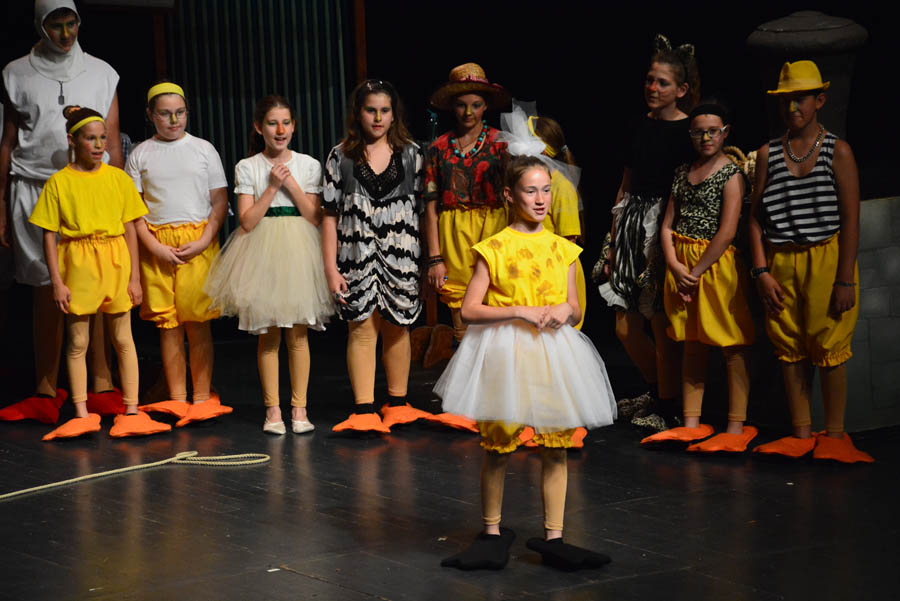 Premijera predstave Ružno pače u izvedbi radionice Donatolina