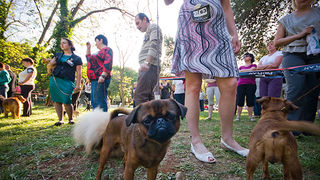 Međunarodna izložba pasa “CACIB ZADAR 2012” Međunarodna izložba pasa “CACIB ZADAR 2012”
