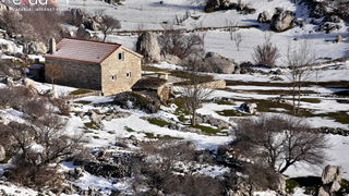 Tulove grede pod snježnim pokrivačem Tulove grede pod snježnim pokrivačem