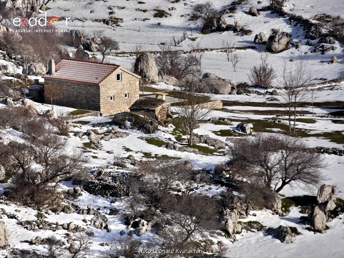 Tulove grede pod snježnim pokrivačem Tulove grede pod snježnim pokrivačem