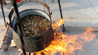 Benkovac, 300612.
Grad Benkovac i Turisticka zajednica Grada Benkovca po prvi puta su organizirali manifestaciju Benkovac, 300612.
Grad Benkovac i Turisticka zajednica Grada Benkovca po prvi puta su organizirali manifestaciju