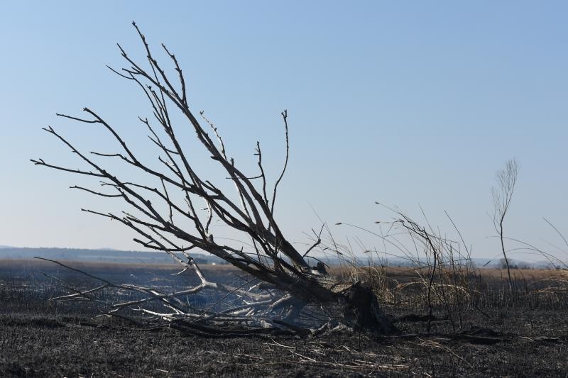 Požar u ornitološkom rezervatu Parka prirodeP Vransko jezero Požar u ornitološkom rezervatu Parka prirodeP Vransko jezero