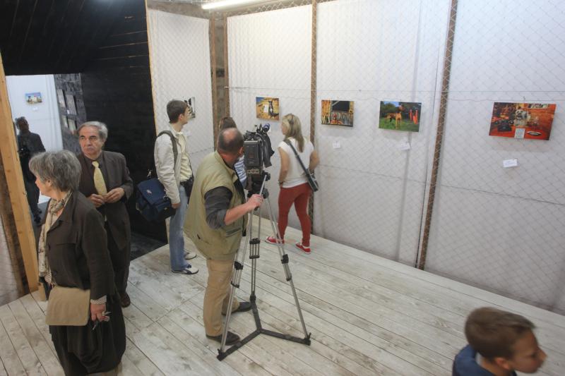 26.04.2014., Zadar – U Knezevoj palaci otvorena je humanitarna izlozba kucnih ljubimaca fotografkinje Ive Perincic za pomoc zadarskom azilu za zivotinje. Photo: Filip Brala/PIXSELL 26.04.2014., Zadar – U Knezevoj palaci otvorena je humanitarna izlozba kucnih ljubimaca fotografkinje Ive Perincic za pomoc zadarskom azilu za zivotinje. Photo: Filip Brala/PIXSELL