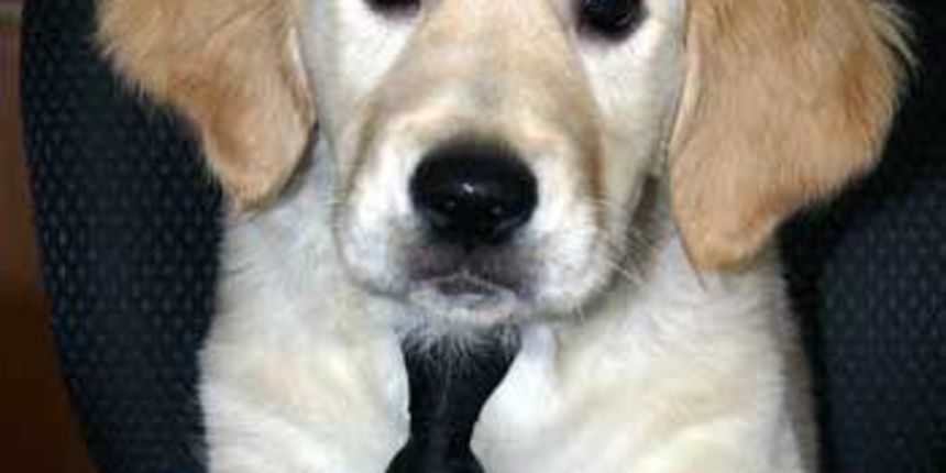 Čvorovi kravate Čvorovi kravate