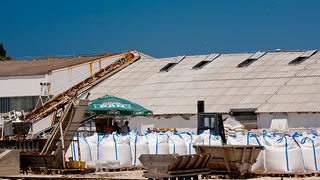 Solana Nin, berba soli, foto: Leo Banić