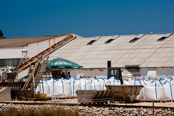 Solana Nin, berba soli, foto: Leo Banić