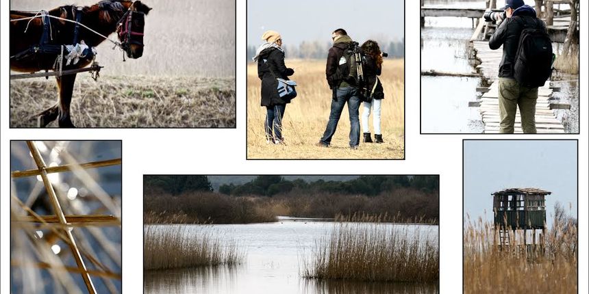 Radionica “Fotografiranja u prirodi” u subotu u PP Vransko jezero Radionica “Fotografiranja u prirodi” u subotu u PP Vransko jezero