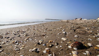 BeachRex.com: Plaže Hrvatske na jednom mjestu BeachRex.com: Plaže Hrvatske na jednom mjestu