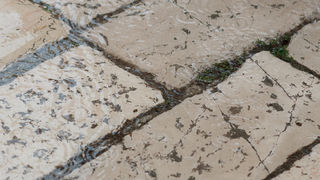 Đir po gradu, 4. studenog 2022. Đir po gradu, 4. studenog 2022.