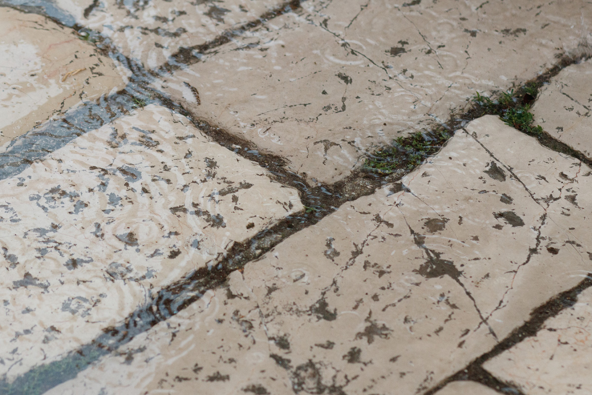 Đir po gradu, 4. studenog 2022. Đir po gradu, 4. studenog 2022.