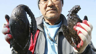 Image 1196795 (auto) Image 1196795 (auto)