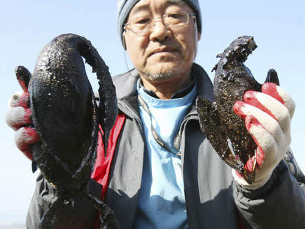 Image 1196795 (auto) Image 1196795 (auto)