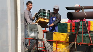 Zadar, 290312.
Proteklih dana lijepo vrijeme posluzilo je ribarima. 
Na fotografiji: ribari iskrcavaju frisku ribu na Liburnijskoj obali u Zadru.
Foto: Andrija Lucic /  Cropix