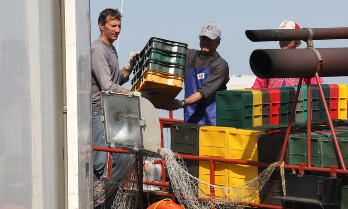 Zadar, 290312.
Proteklih dana lijepo vrijeme posluzilo je ribarima. 
Na fotografiji: ribari iskrcavaju frisku ribu na Liburnijskoj obali u Zadru.
Foto: Andrija Lucic /  Cropix