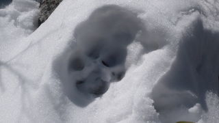 Putovanje u Kinu i Tibet (Foto:Iva Bur