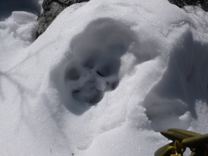 Putovanje u Kinu i Tibet (Foto:Iva Bur