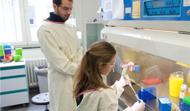 Britanci odobrili genetsko modificiranje ljudskih embrija, Foto: Hina