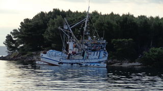 Mišnjak: Nasukana ribarica “Glamoč”