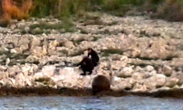 Dugi otok: Kontroliranom eksplozijom uništena podmorska mina