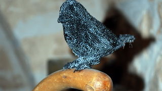 Bitetto: Otvaranje izlozbe “Attraversa-menti”