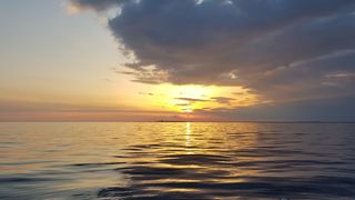 Razigrani dupini na Kornatima i kod Dugog otoka