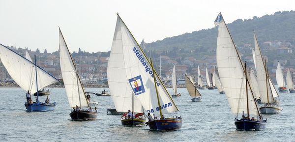 Murter, 270909.
Regata Latinsko idro.
Svake godine u povodu blagdana sv. Mihovila, zastitnika murterske zupe, odrzava se regata Latinsko idro. Start joj je uvijek u uvali Hramina, plovi se iskljucivo latinskim jedrom u tradicijskim brodovima rasporedjenim Murter, 270909.
Regata Latinsko idro.
Svake godine u povodu blagdana sv. Mihovila, zastitnika murterske zupe, odrzava se regata Latinsko idro. Start joj je uvijek u uvali Hramina, plovi se iskljucivo latinskim jedrom u tradicijskim brodovima rasporedjenim
