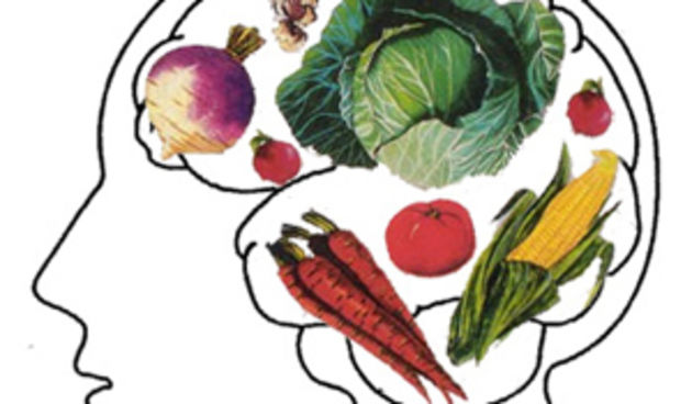 Vegetarijanac (wellness-junction.com)