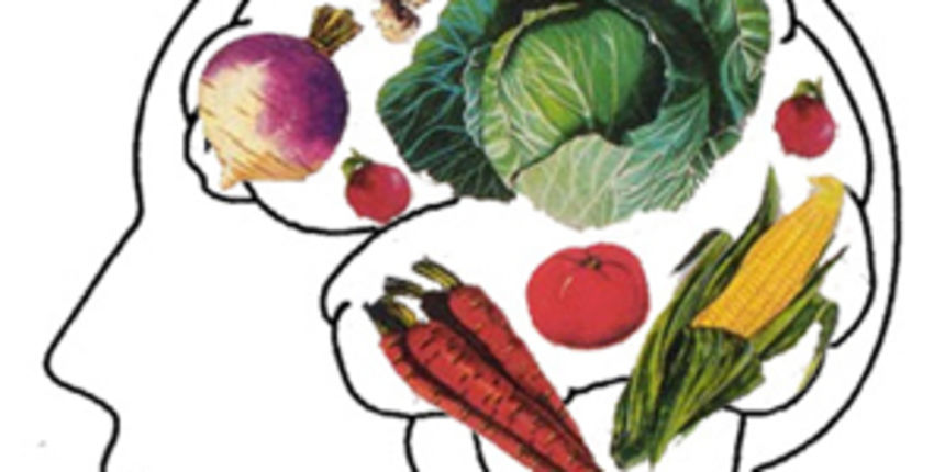 Vegetarijanac (wellness-junction.com) Vegetarijanac (wellness-junction.com)