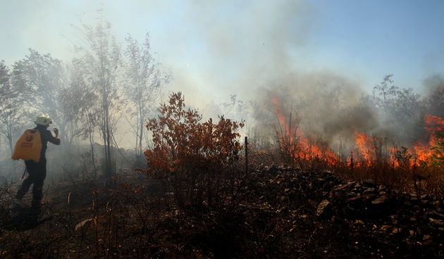 Zadar, 180712.  
Pozar u Smokovicu ponovno je aktivan.
Na terenu su djelatnici JVP Zadar, a pozvane su i zracne snage. Vatrogasci su branili kuce od pozara koji je zahvatio i neka dvorista.
Na fotografiji: detalj sa mjesta pozara.
Foto: Jure Miskovic / CR