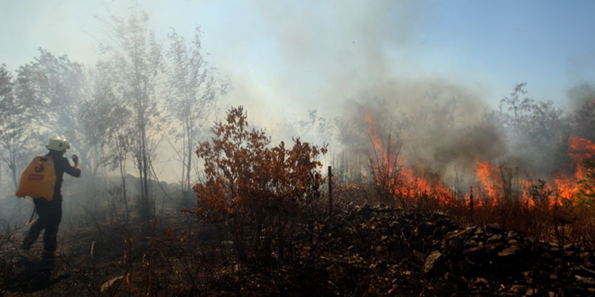 Zadar, 180712.
Pozar u Smokovicu ponovno je aktivan.
Na terenu su djelatnici JVP Zadar, a pozvane su i zracne snage. Vatrogasci su branili kuce od pozara koji je zahvatio i neka dvorista.
Na fotografiji: detalj sa mjesta pozara.
Foto: Jure Miskovic / CR Zadar, 180712.
Pozar u Smokovicu ponovno je aktivan.
Na terenu su djelatnici JVP Zadar, a pozvane su i zracne snage. Vatrogasci su branili kuce od pozara koji je zahvatio i neka dvorista.
Na fotografiji: detalj sa mjesta pozara.
Foto: Jure Miskovic / CR