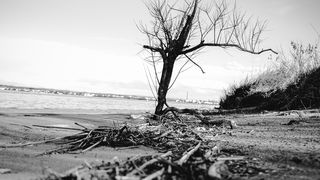 Crno bijela bajka na Kraljičinoj plaži, foto: Iva Perinčić