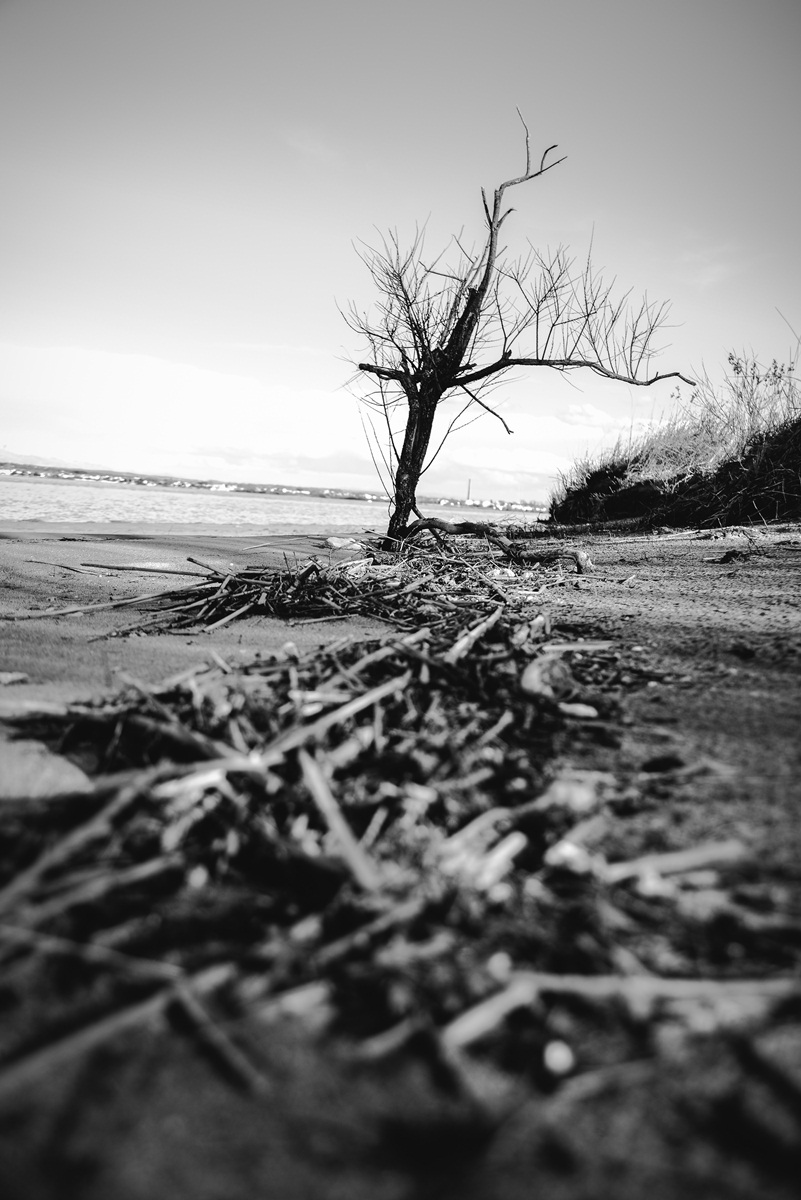 Crno bijela bajka na Kraljičinoj plaži, foto: Iva Perinčić